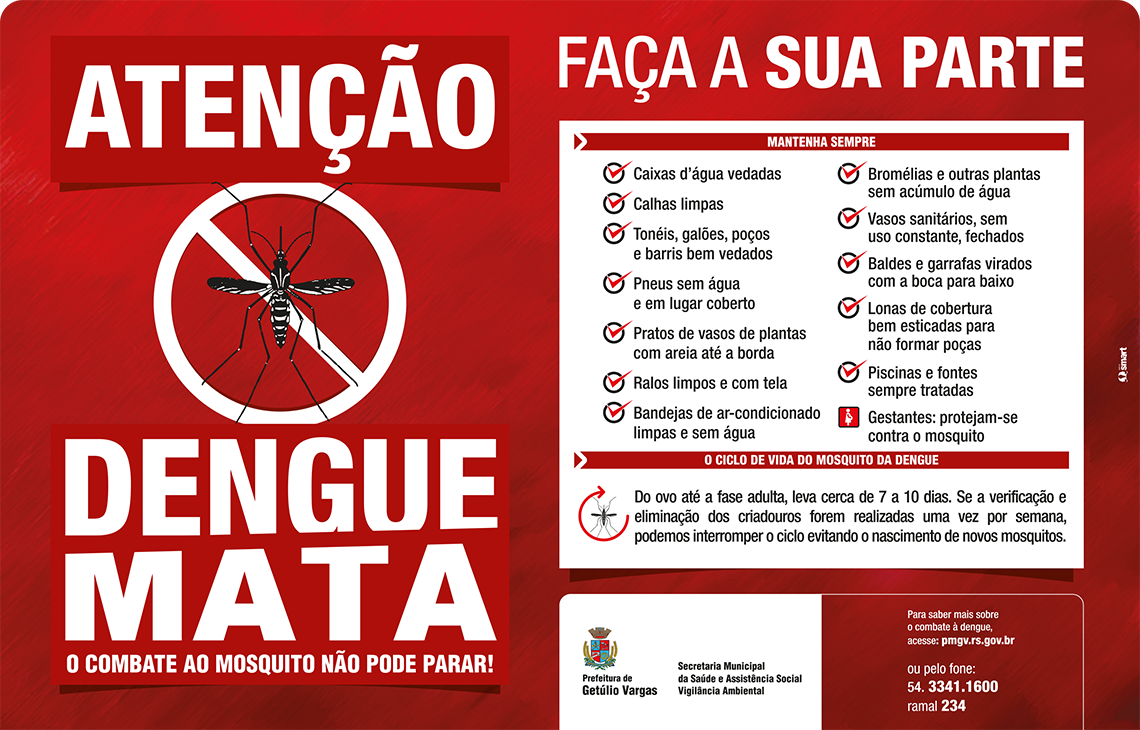 Dengue pode Matar_Jornal (1)