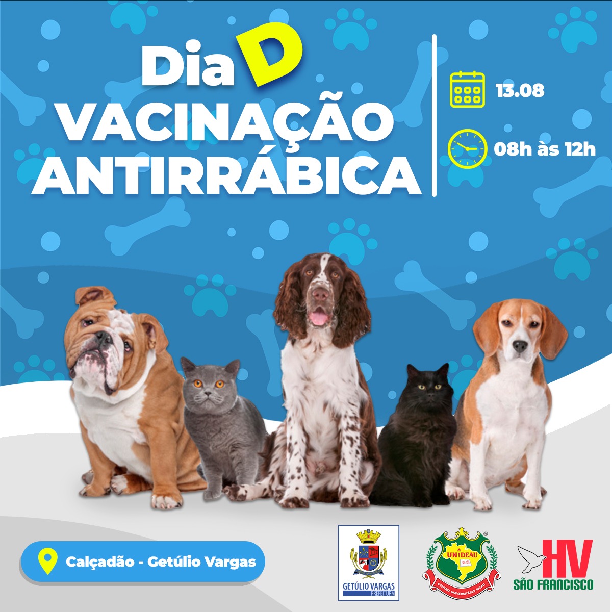 VAcinação Antirrábica