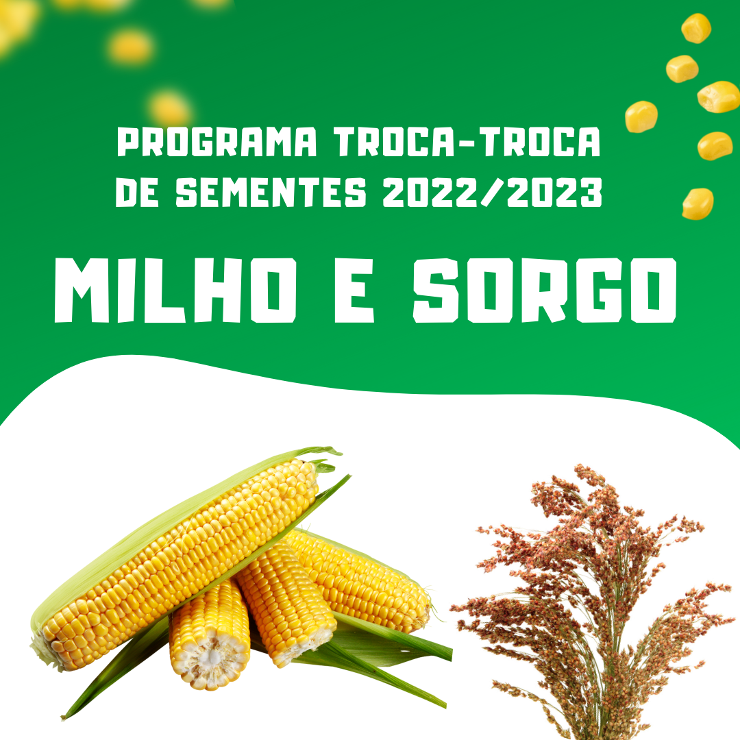 Troca-troca