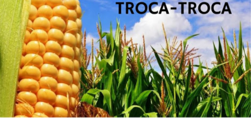 troca troca