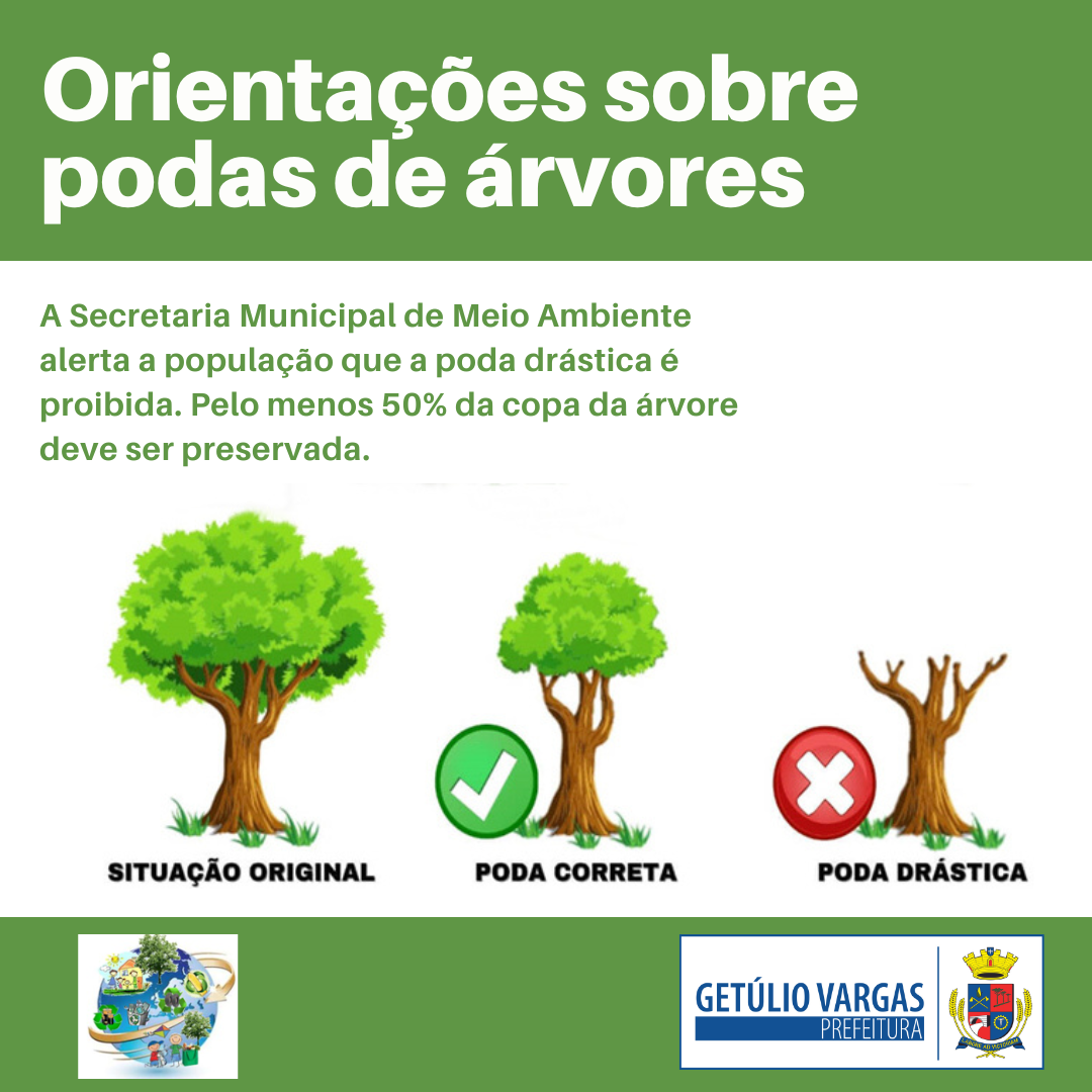 Secretaria do Meio Ambiente alerta poda drástica é crime